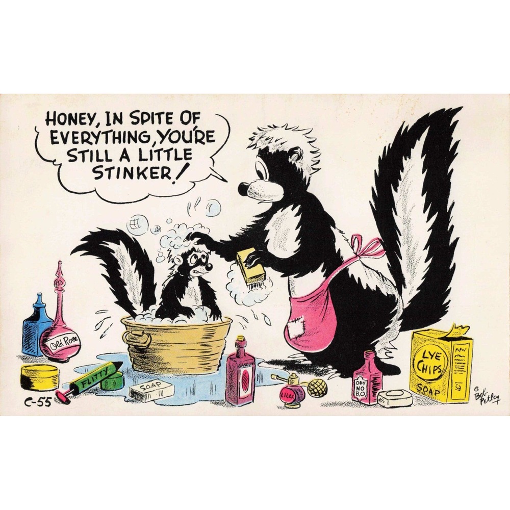 Vintage Petley Laff Card Skunk Humor Postcard Bob Petley C-55 Unposted VG+ - Picture 1 of 2